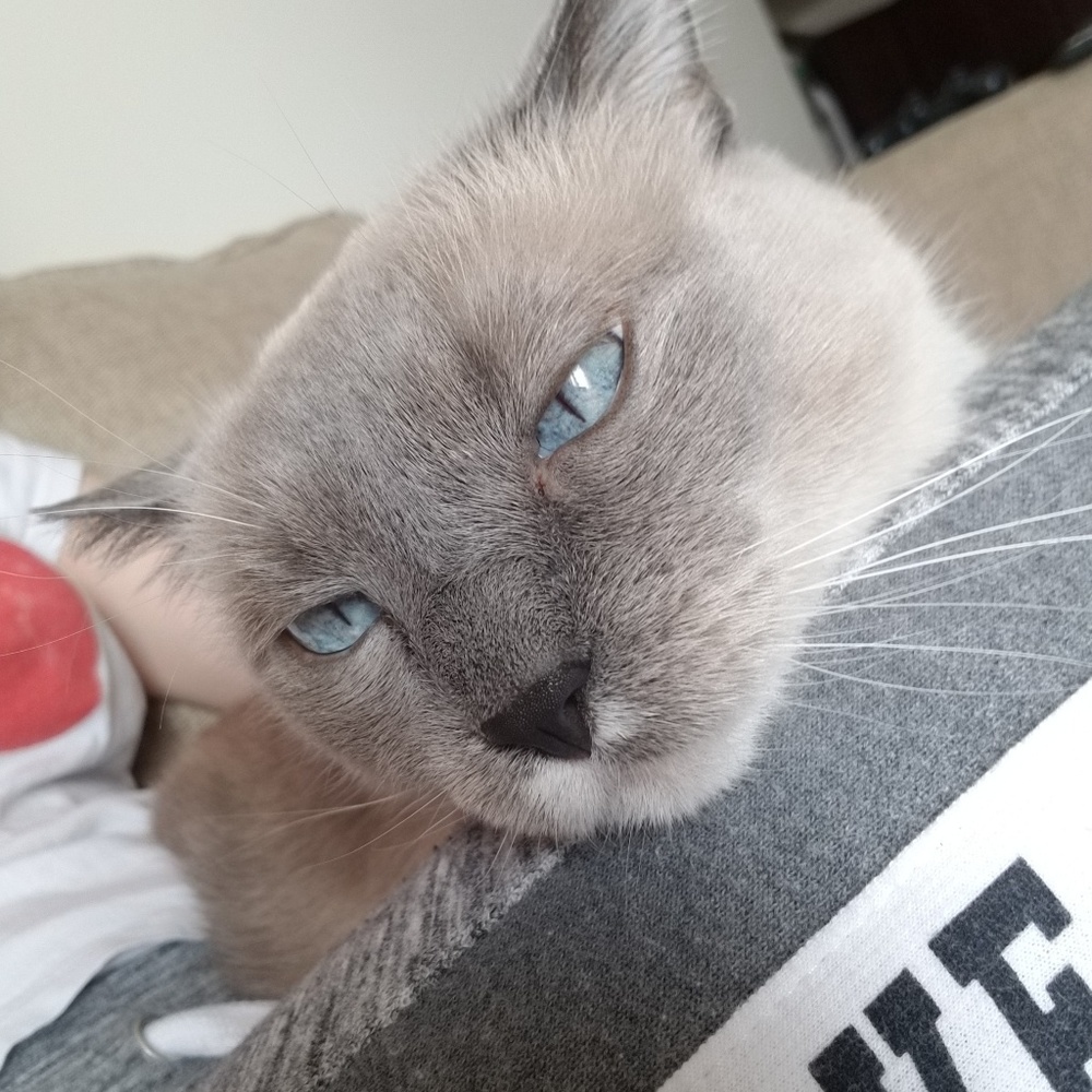 Meet your Posher, Vanna